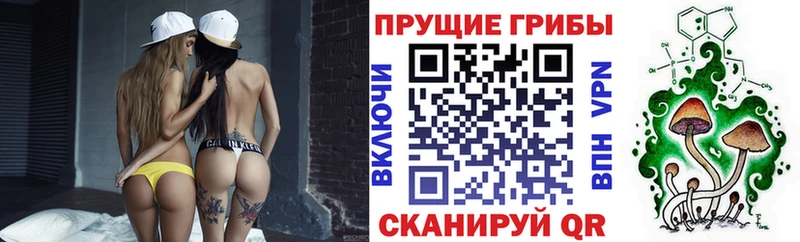 Псилоцибиновые грибы Cubensis  Беслан 